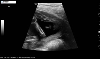 1.2.840.113619.2.256.50124668568.1570134543.784.mp4