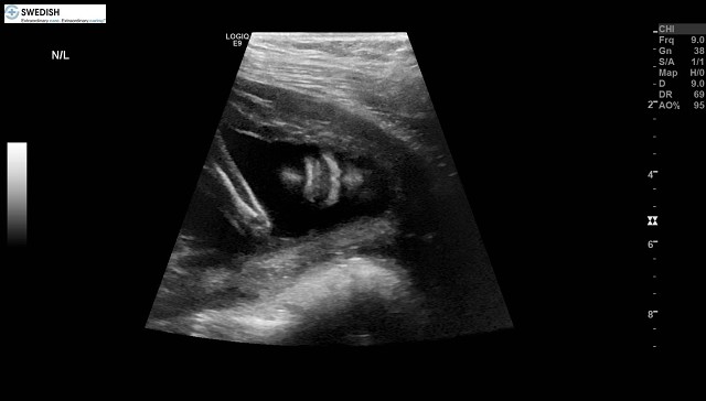 1.2.840.113619.2.256.50124668568.1570134549.811