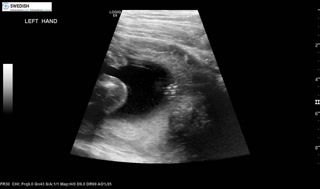 1.2.840.113619.2.256.50124668568.1570134688.1700.mp4