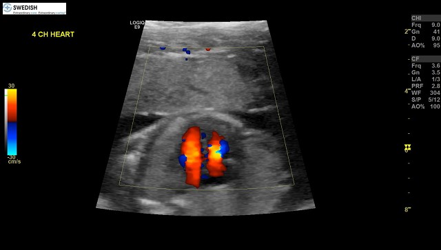 1.2.840.113619.2.256.50124668568.1570134860.3289