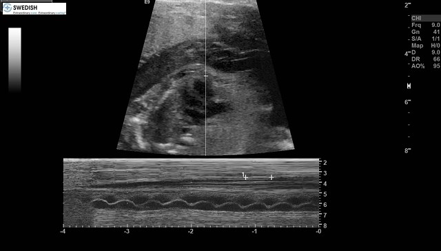 1.2.840.113619.2.256.50124668568.1570134885.3951