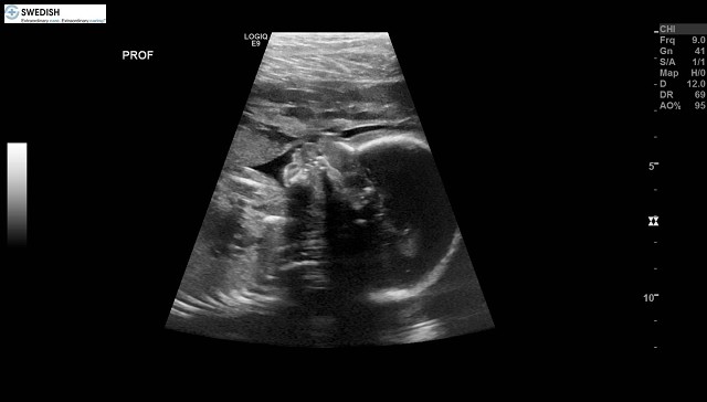 1.2.840.113619.2.256.50124668568.1570134902.4401