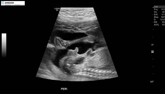 1.2.840.113619.2.256.50124668568.1570135216.4383