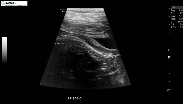 1.2.840.113619.2.256.50124668568.1570135343.8441