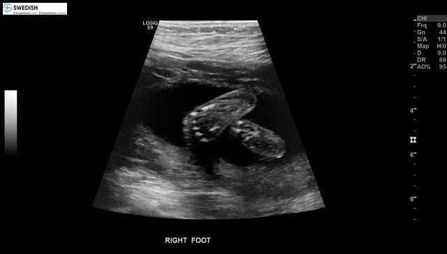 1.2.840.113619.2.256.50124668568.1570135492.1629