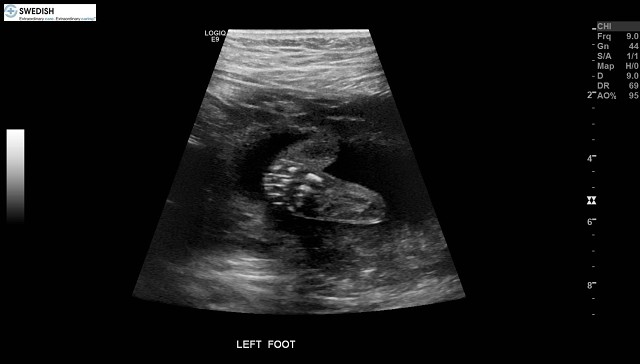 1.2.840.113619.2.256.50124668568.1570135522.2410