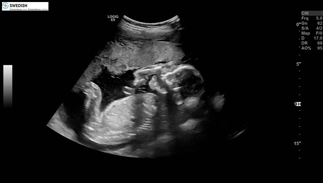 1.2.840.113619.2.256.50124668568.1570136143.5584