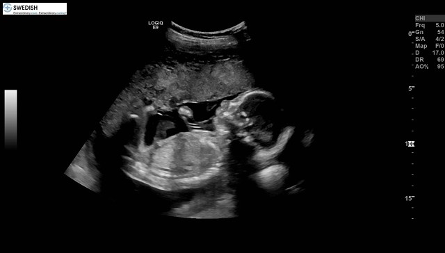 1.2.840.113619.2.256.50124668568.1570136156.6187