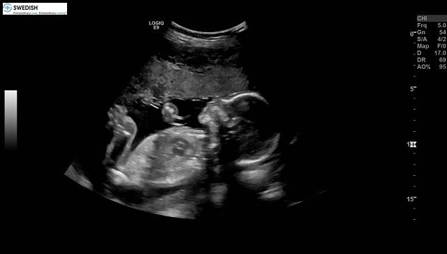 1.2.840.113619.2.256.50124668568.1570136164.6311