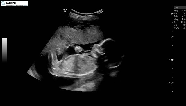 1.2.840.113619.2.256.50124668568.1570136213.6440