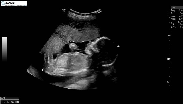 1.2.840.113619.2.256.50124668568.1570136229.6569